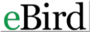 eBird Logo