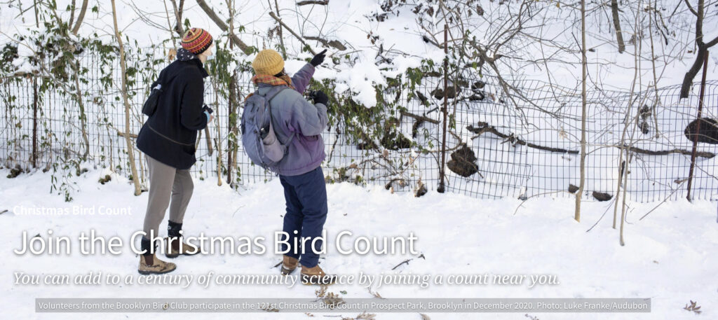 Christmas Bird Count