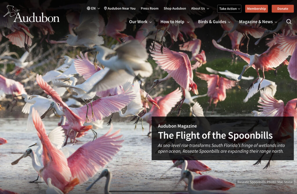 National Audubon Society