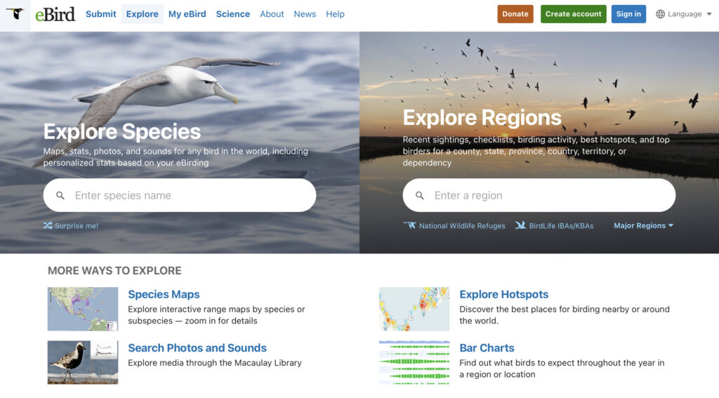 eBird